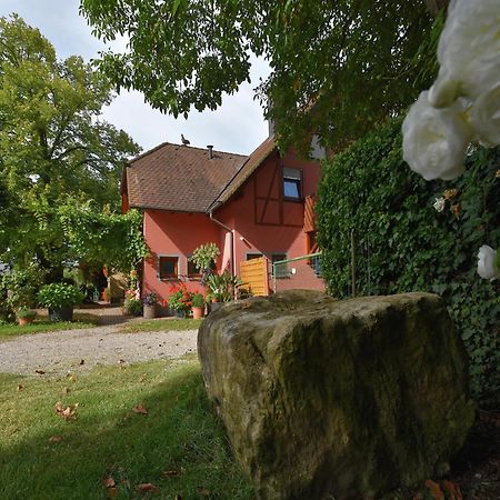 Countryside Apartment With Garden Schallstadt Dış mekan fotoğraf