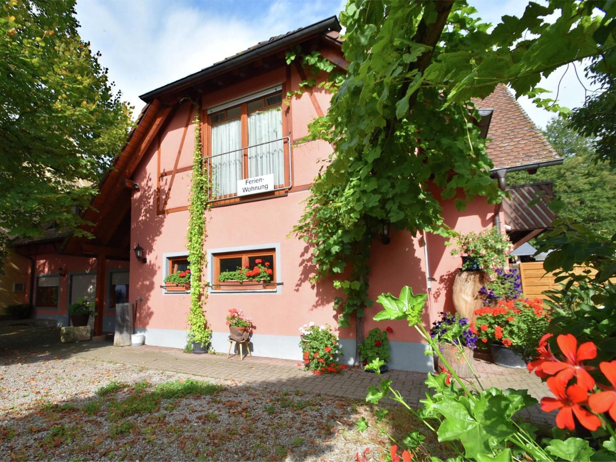 Countryside Apartment With Garden Schallstadt Dış mekan fotoğraf