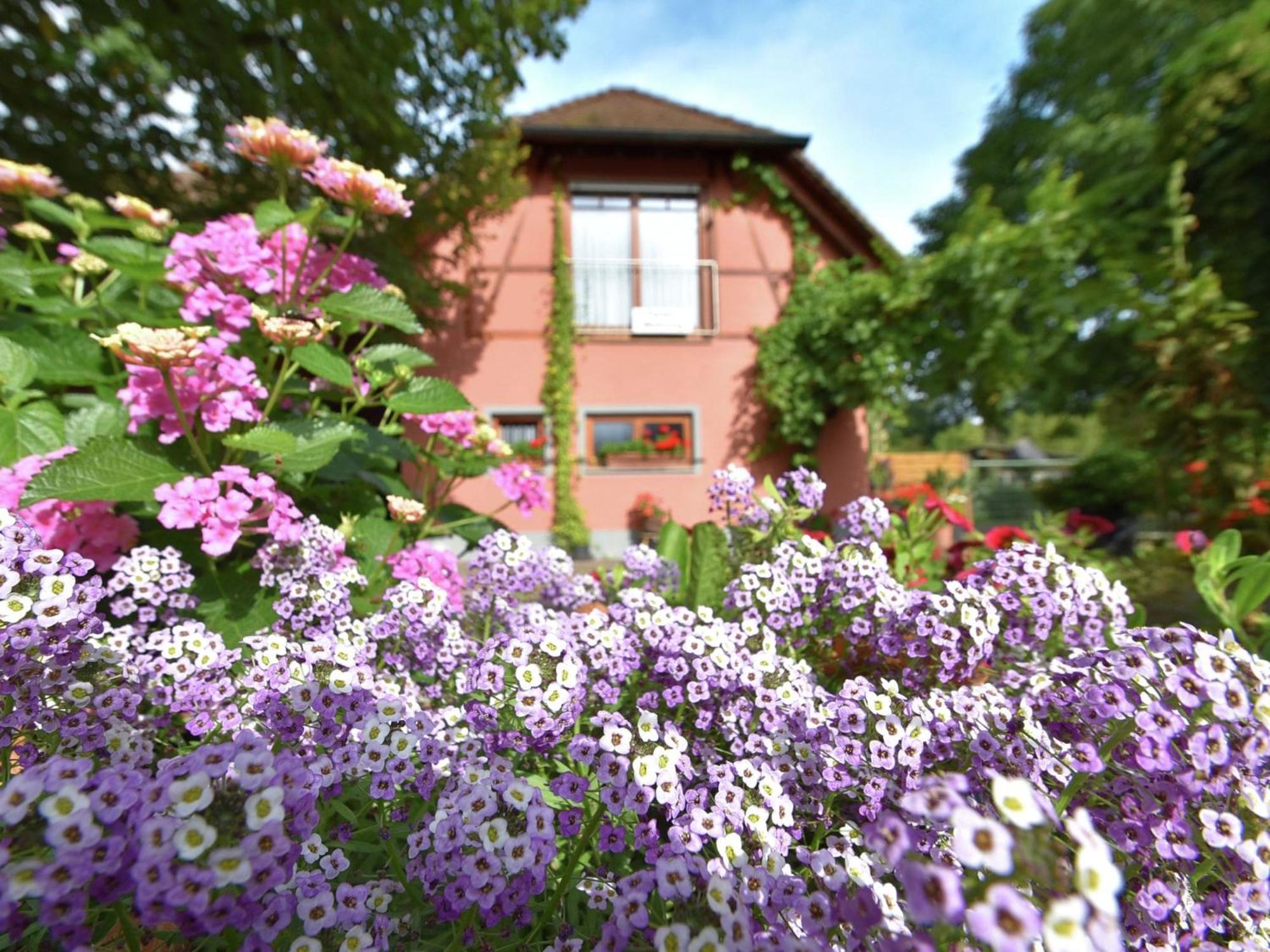Countryside Apartment With Garden Schallstadt Dış mekan fotoğraf