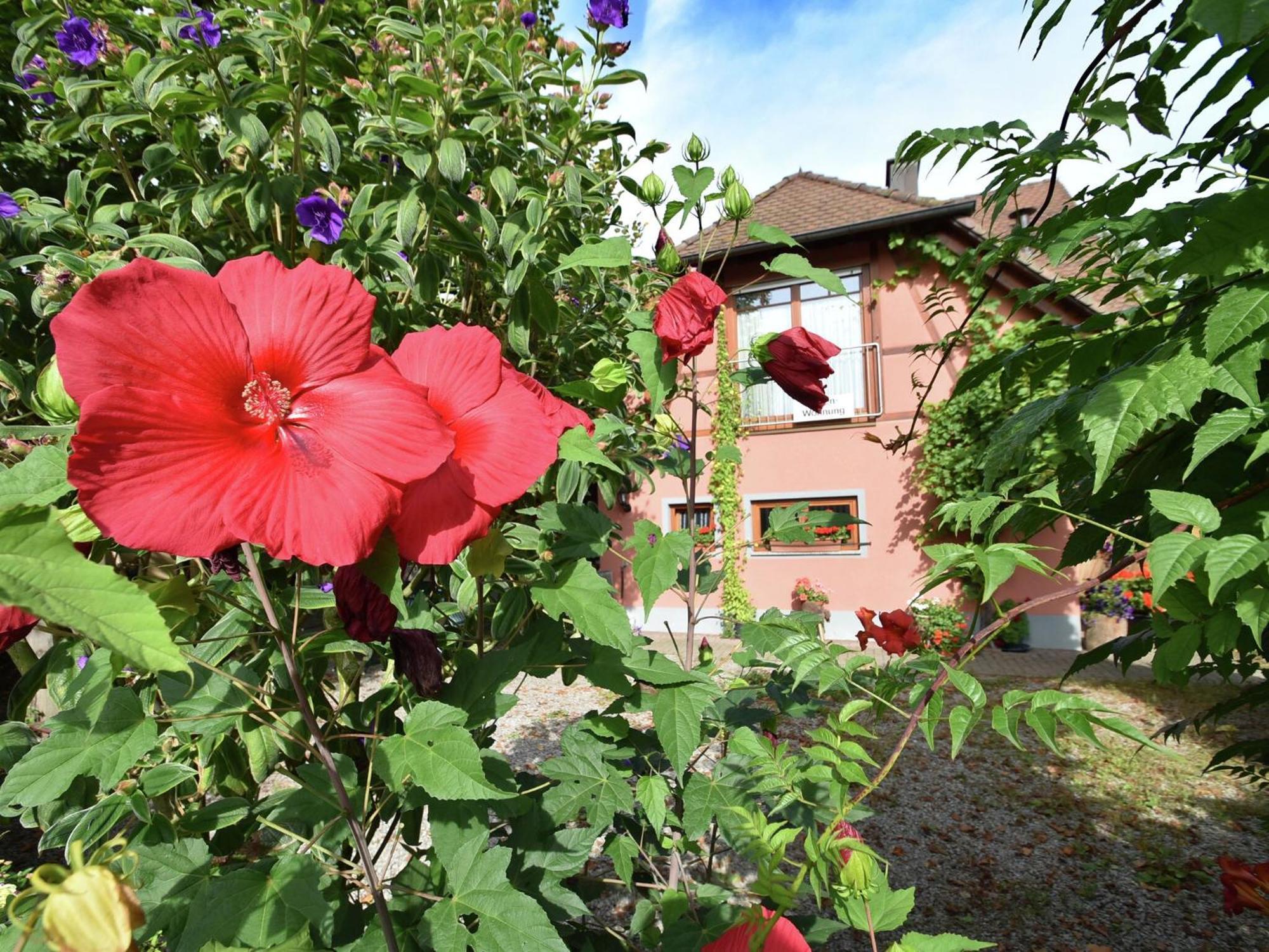 Countryside Apartment With Garden Schallstadt Dış mekan fotoğraf