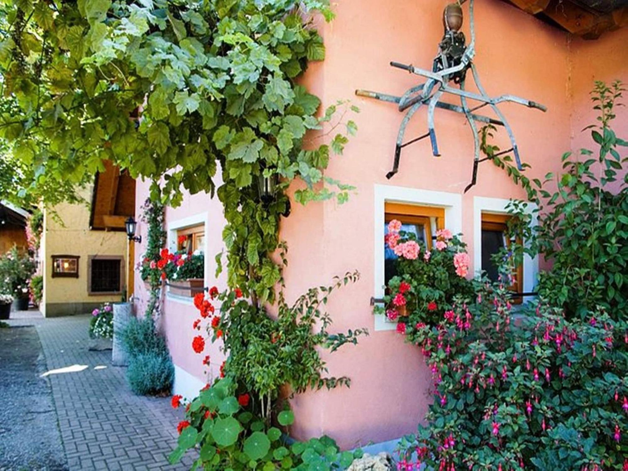 Countryside Apartment With Garden Schallstadt Dış mekan fotoğraf