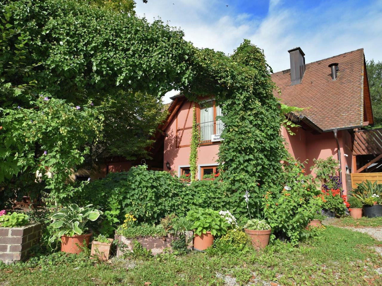Countryside Apartment With Garden Schallstadt Dış mekan fotoğraf